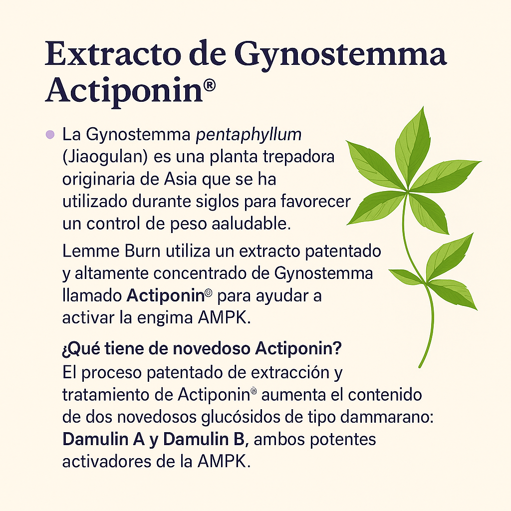 ❣️lemme Burn® - La opción #1 para quienes buscan quemar grasa abdominal!