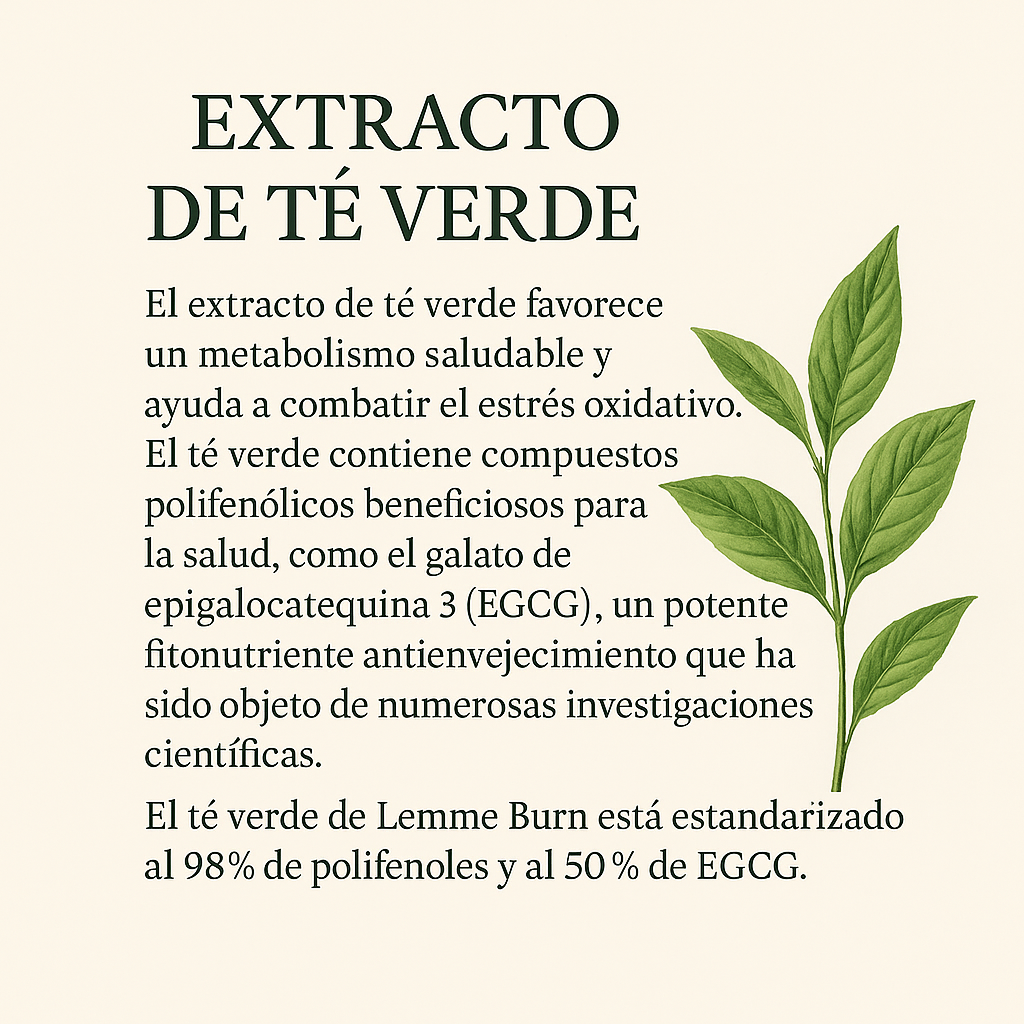 ❣️lemme Burn® - La opción #1 para quienes buscan quemar grasa abdominal!
